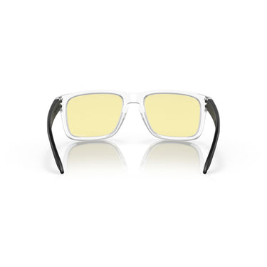 Gafas Oakley Holbrook OO9102-X255