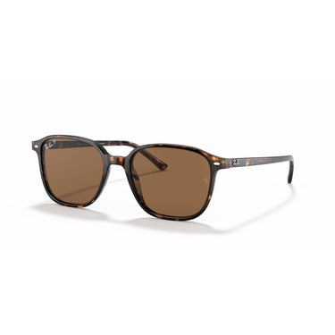 Gafas Ray-Ban Leonard RB2193-902/57
