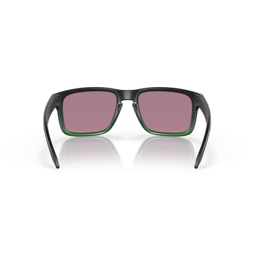 Gafas Oakley Holbrook OO9102-E455