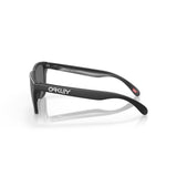Gafas Oakley Frogskins OO9013-F755