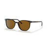 Gafas Ray-Ban Elliot RB2197-902/33