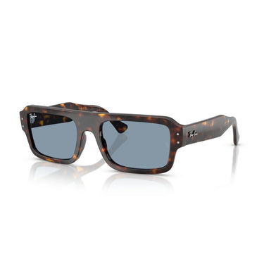 Gafas Ray-Ban Flacko RB4454-902/56