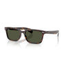 Gafas Ray-Ban Brunel RB2234-902/31