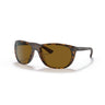 Gafas Ray-Ban RB4307-710/83