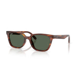 Gafas Ray-Ban RB2243D-954/71
