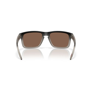 Gafas Oakley Holbrook OO9102-AH55