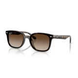 Gafas Ray-Ban RB4461D-710/13