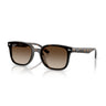 Gafas Ray-Ban RB4461D-710/13