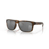 Gafas Oakley Holbrook OO9102-F455