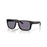 Gafas Oakley Holbrook S OO9509-0253