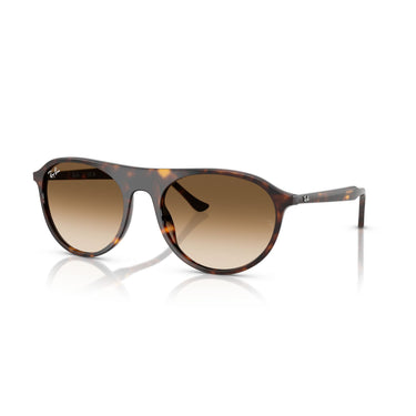 Gafas Ray-Ban RB2215-902/51