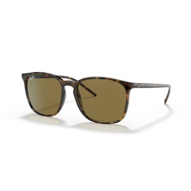 Gafas Ray-Ban RB4387-710/73