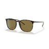 Gafas Ray-Ban RB4387-710/73