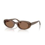 Gafas Ray-Ban RB4441D-677973