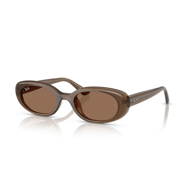 Gafas Ray-Ban RB4441D-677973