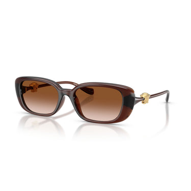 Gafas Versace VE4504D-533213