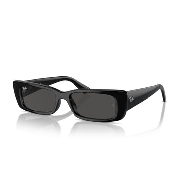 Gafas Ray-Ban Teru RB4425-667787