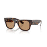 Gafas Ray-Ban Mega Wayfarer RB0840S-902/53