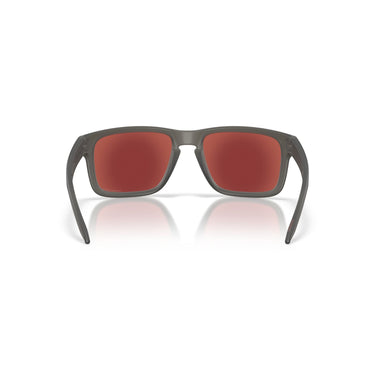 Gafas Oakley Holbrook OO9102-AR55