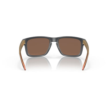 Gafas Oakley Holbrook OO9102-W455