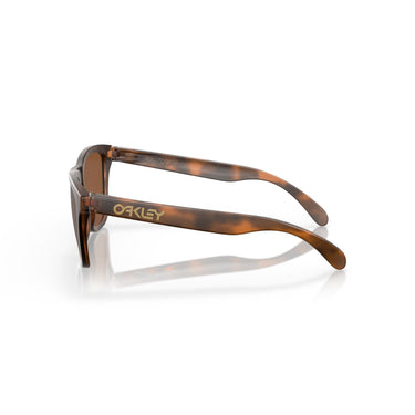 Gafas Oakley Frogskins OO9013-C555