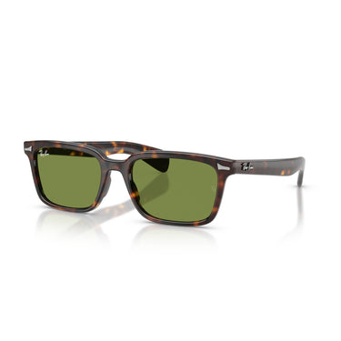 Gafas Ray-Ban Brunel RB2234-902/4E