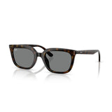 Gafas Ray-Ban RB4439D-710/87