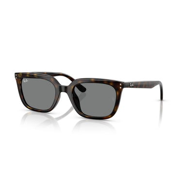 Gafas Ray-Ban RB4439D-710/87