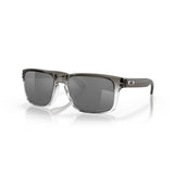 Gafas Oakley Holbrook OO9102-O255