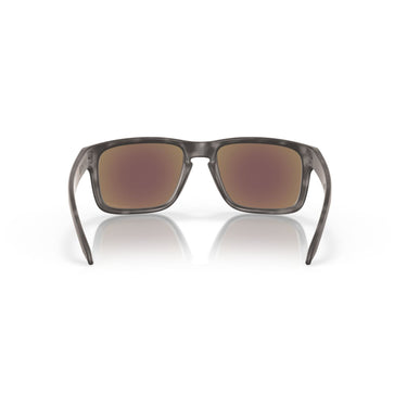 Gafas Oakley Holbrook OO9102-G755