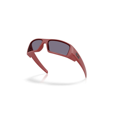 Gafas Oakley Gascan OO9014-E460