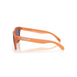 Gafas Oakley Frogskins OO9013-M155
