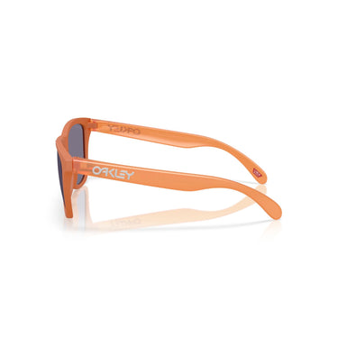 Gafas Oakley Frogskins OO9013-M155