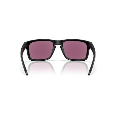 Gafas Oakley Holbrook OO9102-AI55