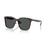 Gafas Ray-Ban RB2206D-710/87