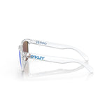 Gafas Oakley Frogskins OO9013-D055
