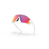 Gafas Oakley Jawbreaker OO9290-5531