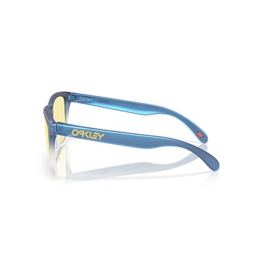 Gafas Oakley Frogskins OO9013-M455