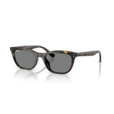 Gafas Ray-Ban RB4474D-710/87