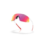 Gafas Oakley CYBR Dyno OO9513D-0339