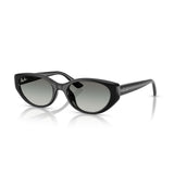 Gafas Ray-Ban RB4457D-667711