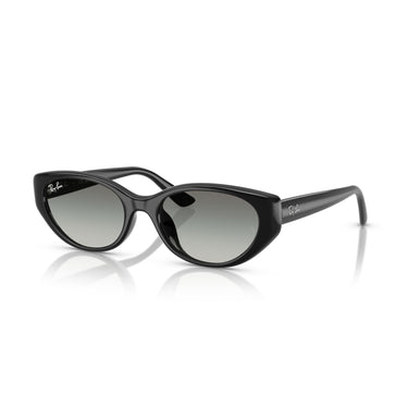 Gafas Ray-Ban RB4457D-667711