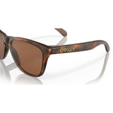 Gafas Oakley Frogskins OO9013-C555