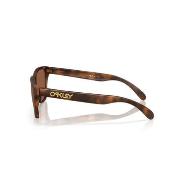 Gafas Oakley Frogskins S OO9508-0353