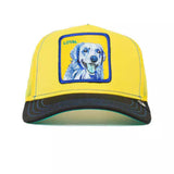 Gorra Goorin Bros Doggy Trip Loyal Amarilla