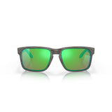 Gafas Oakley Holbrook OO9102-J855