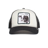 Gorra Goorin Bros Cash Cow Negra