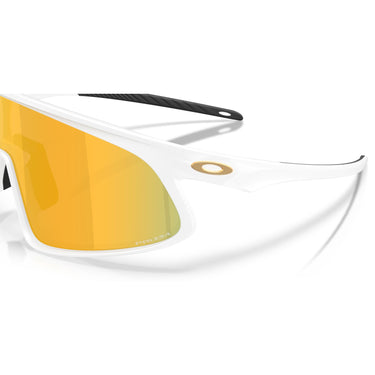 Gafas Oakley RSLV 141 OO9524D-0341