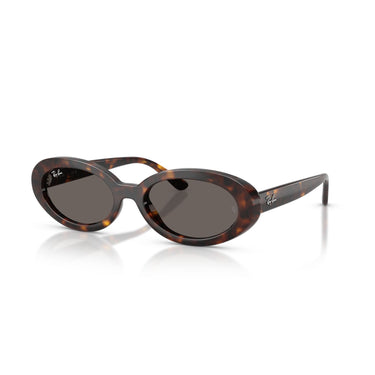 Gafas Ray-Ban RB2223-902/B1