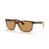 Gafas Ray-Ban RB4181-710/83